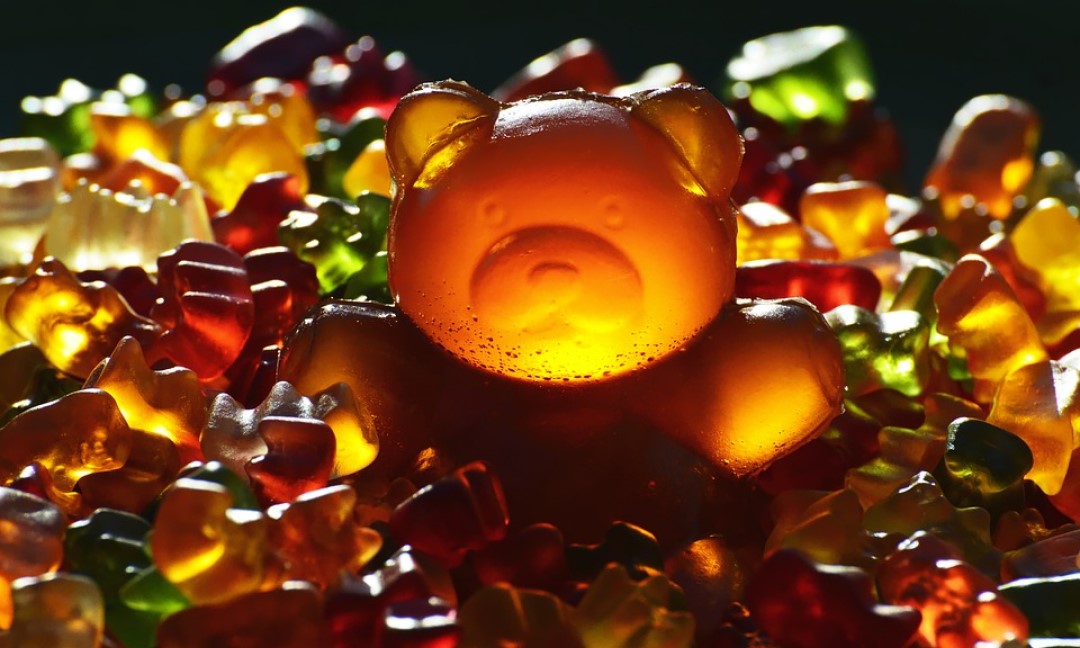 A giant gummy bear in a pile of smaller gummy bears ready for bottling.