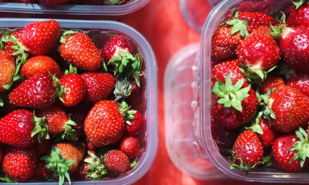 Several plastic food containers full of ripe strawberries.